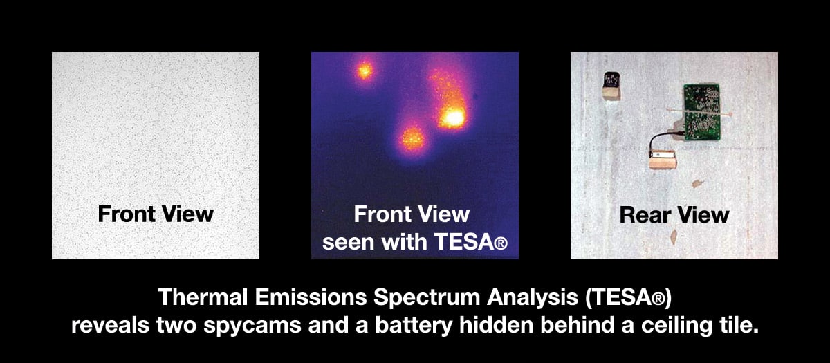 Thermal Emissions Spectrum Analysis - Infrared Bug Detection of a Ceiling Tile 3 Views