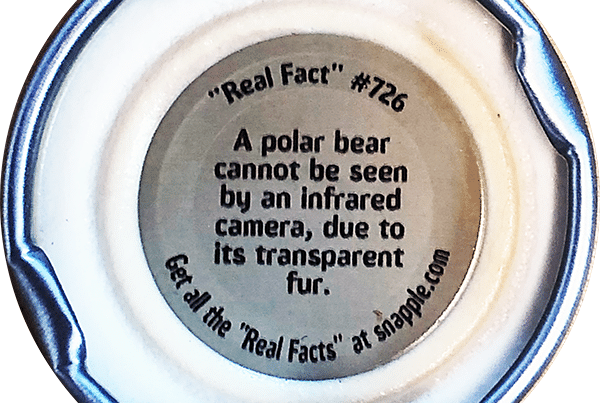 Real TSCM Facts v Polar Bear Fur