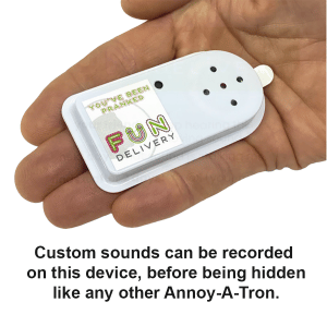 Hidden Recordable Sound Prank