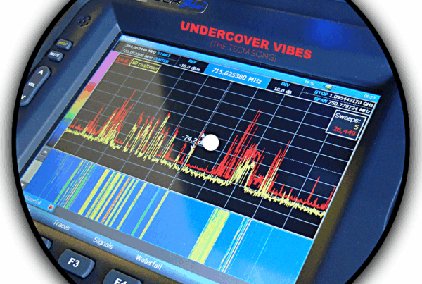 Undercover Vibes LP Record